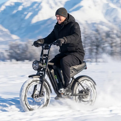 Okday 1200W All-Terrain Fat Tire Ebike